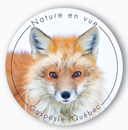 Autocollant renard