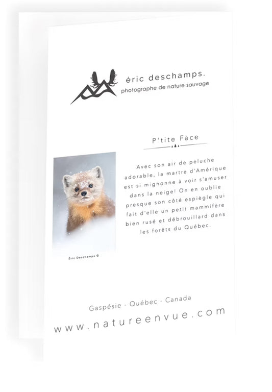 Carte P’tite Face