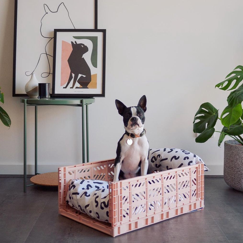 Petite caisse pliable rouge