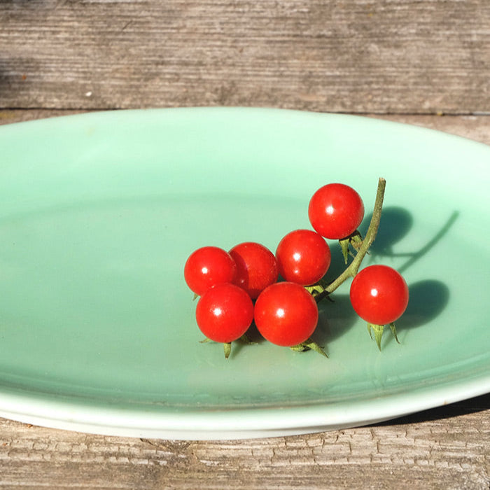 Sachet de tomate groseille petit moineau