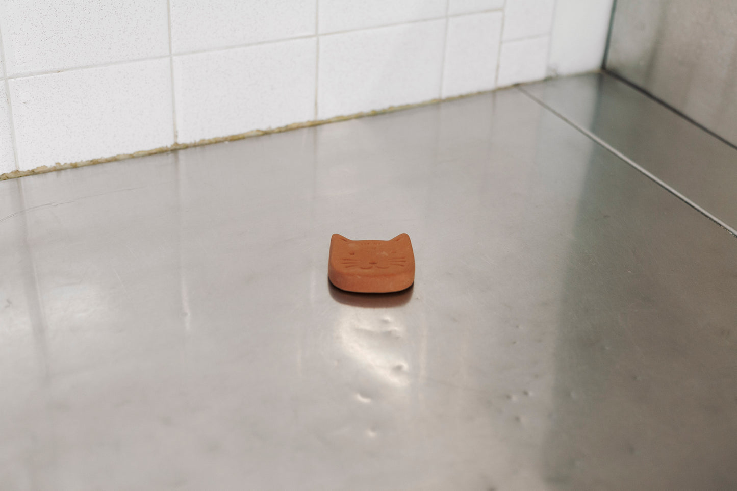 Ramolisseur à cassonade chat