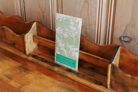 Sachet de roquette sauvage Bellezia bio