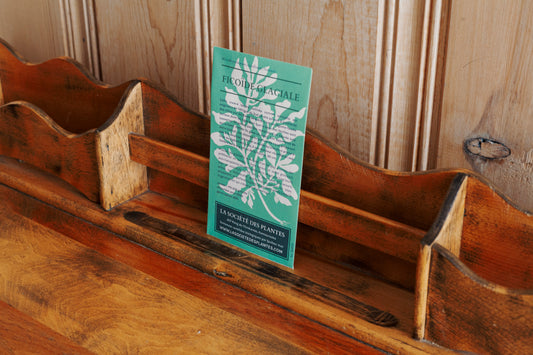 Sachet de Ficoïde glaciale bio