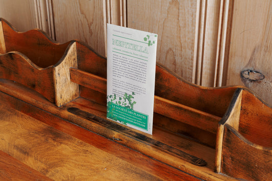 Sachet de Nepitella bio