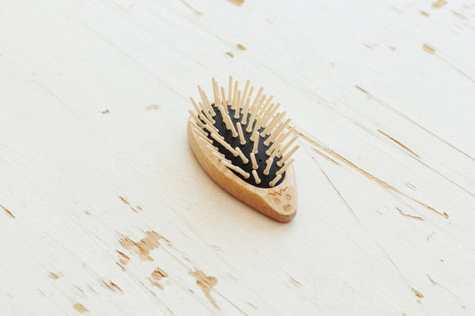 Brosse de transport hérisson