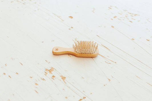 Brosse à cheveux de transport