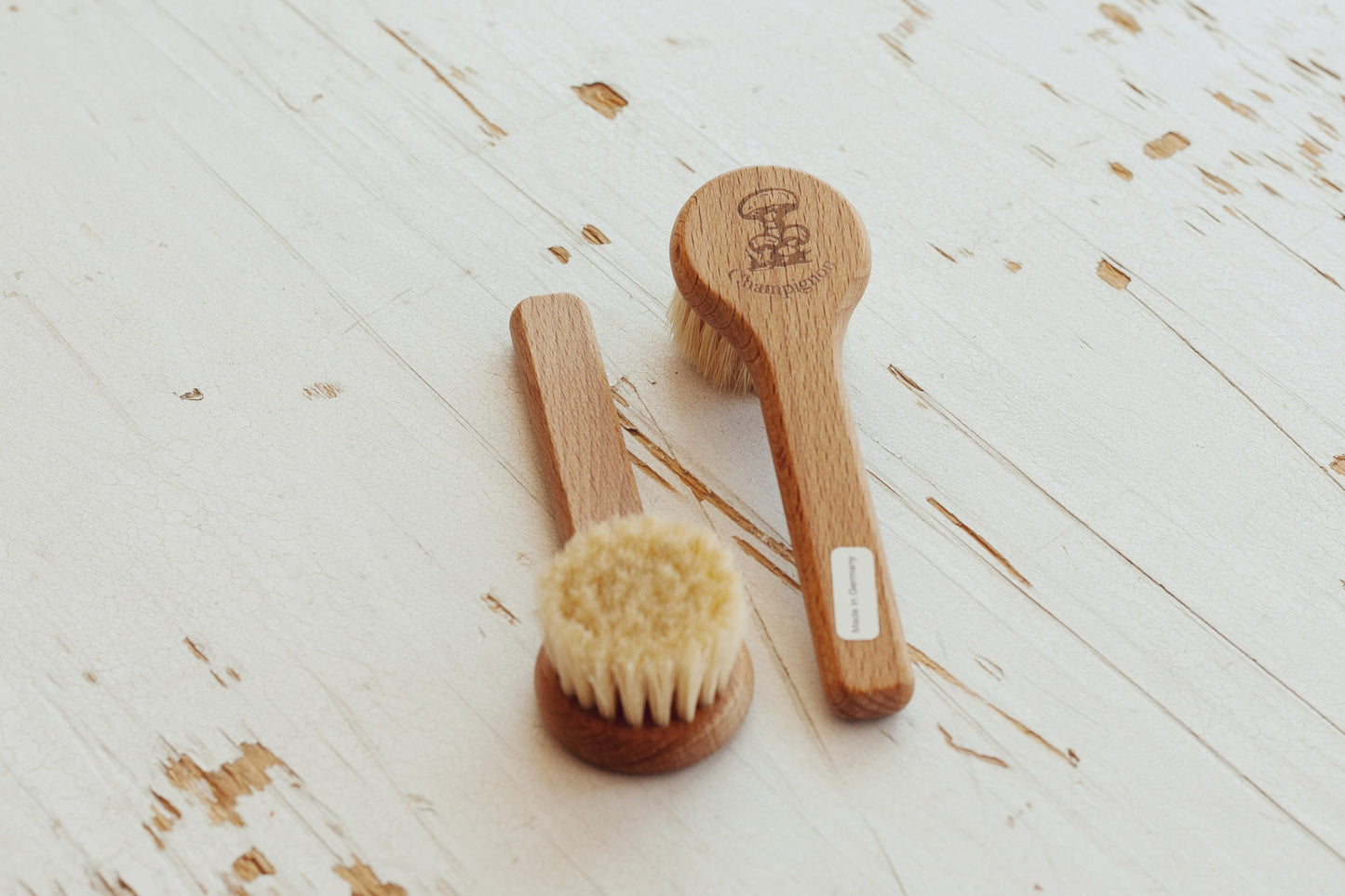 Brosse à champignons avec poignée