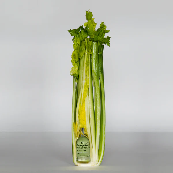 Eau de toilette Eau de céleri 50ml