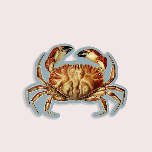 Autocollant Crabe Coquin
